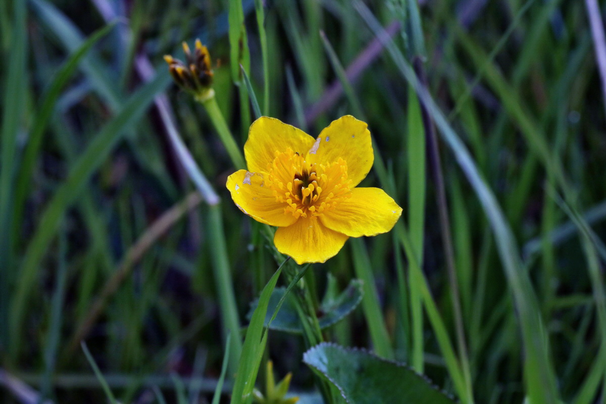 C2015_05_200253p_Bildgr��e �ndern