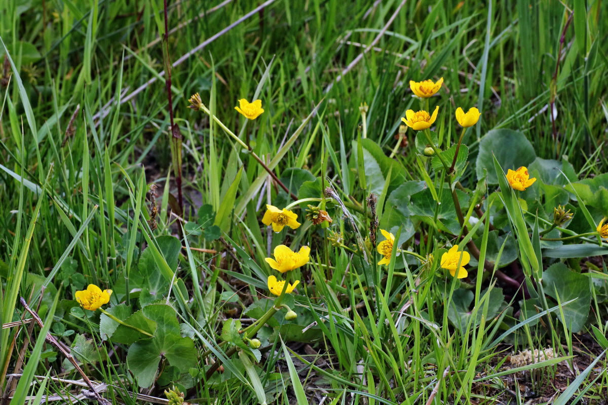 C2015_05_200256p_Bildgr��e �ndern