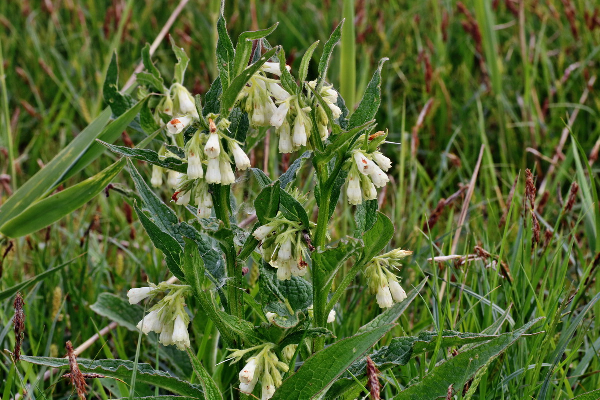 C2015_05_200258p_Bildgr��e �ndern