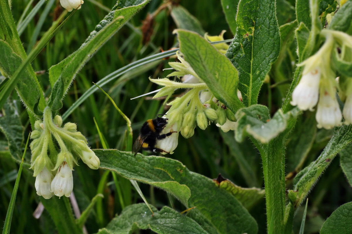 C2015_05_200263p_Bildgr��e �ndern