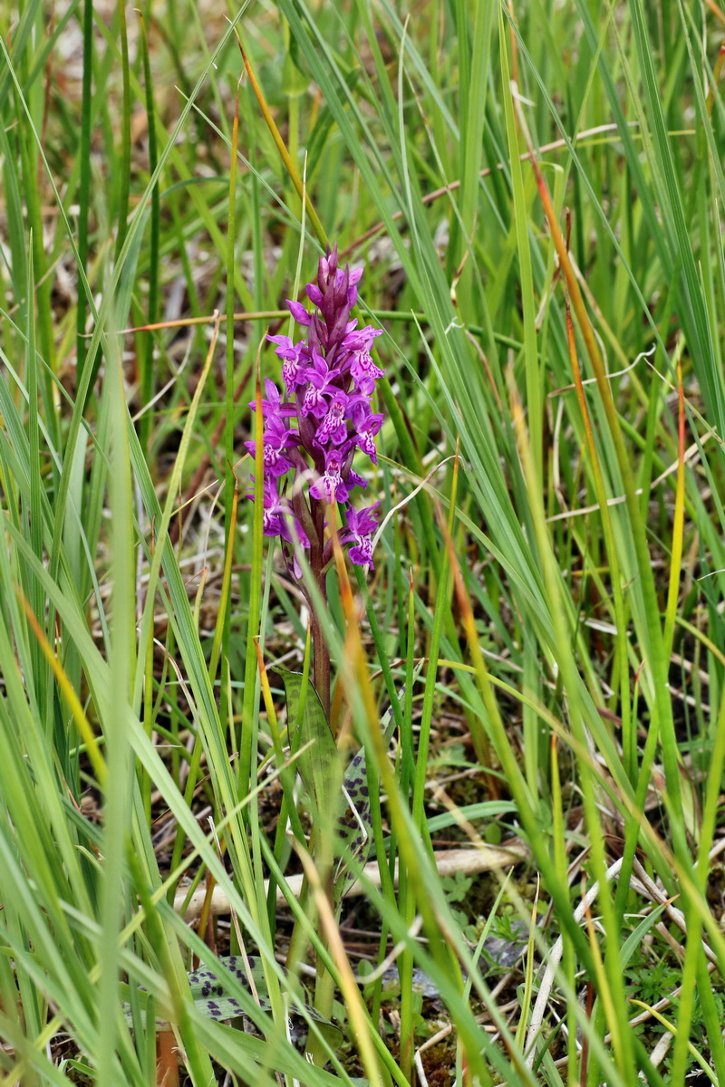 C2015_05_200268p_Bildgr��e �ndern