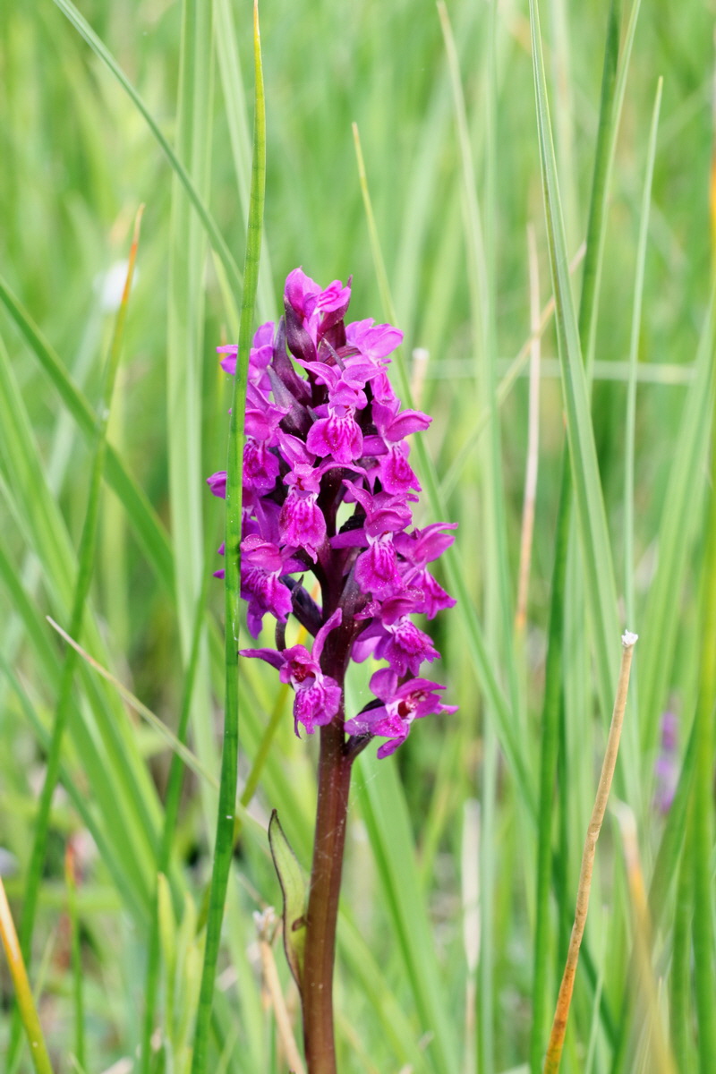 C2015_05_200276p_Bildgr��e �ndern