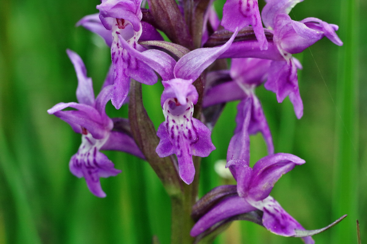 C2015_05_200282p_Bildgr��e �ndern