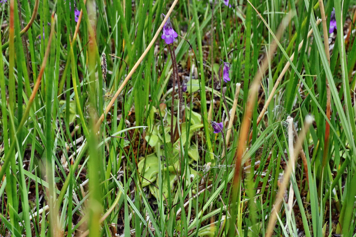 C2015_05_200287p_Bildgr��e �ndern