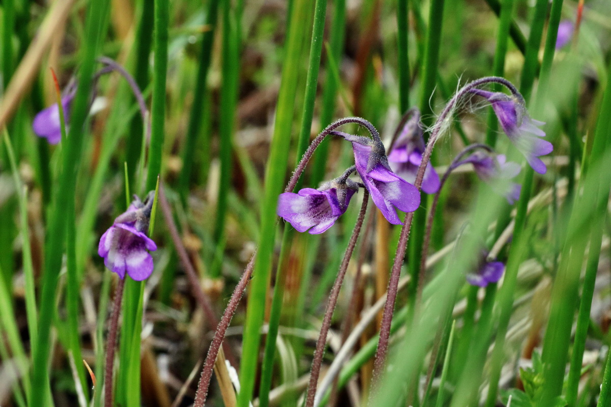 C2015_05_200290p_Bildgr��e �ndern