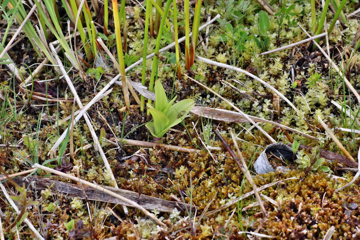 C2015_05_200294p_Bildgr��e �ndern