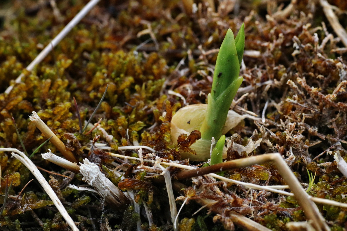 C2015_05_200298p_Bildgr��e �ndern