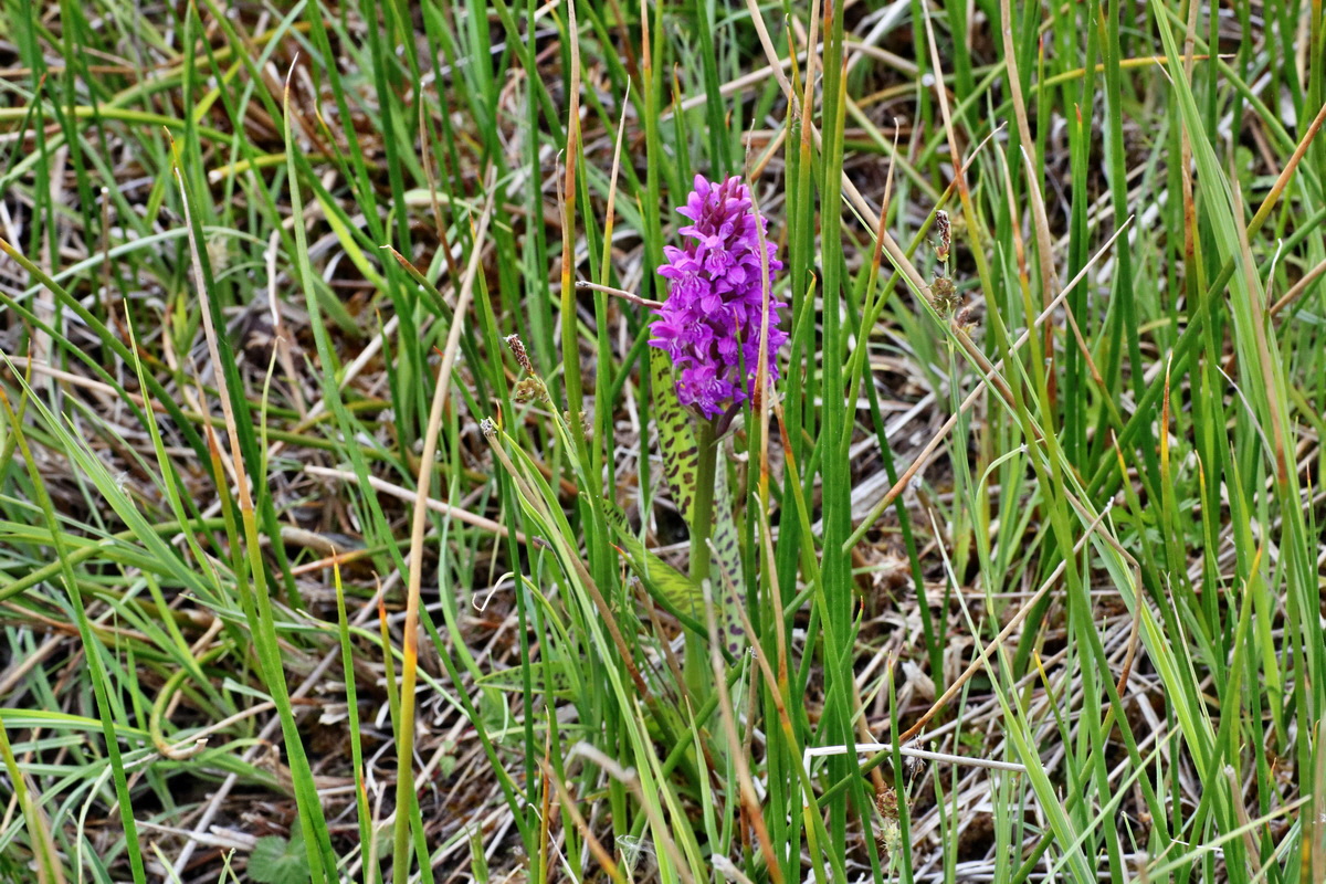 C2015_05_200300p_Bildgr��e �ndern