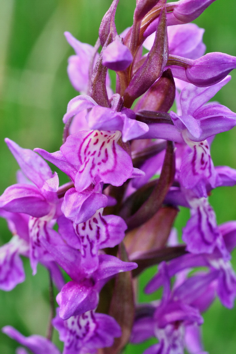 C2015_05_200306p_Bildgr��e �ndern