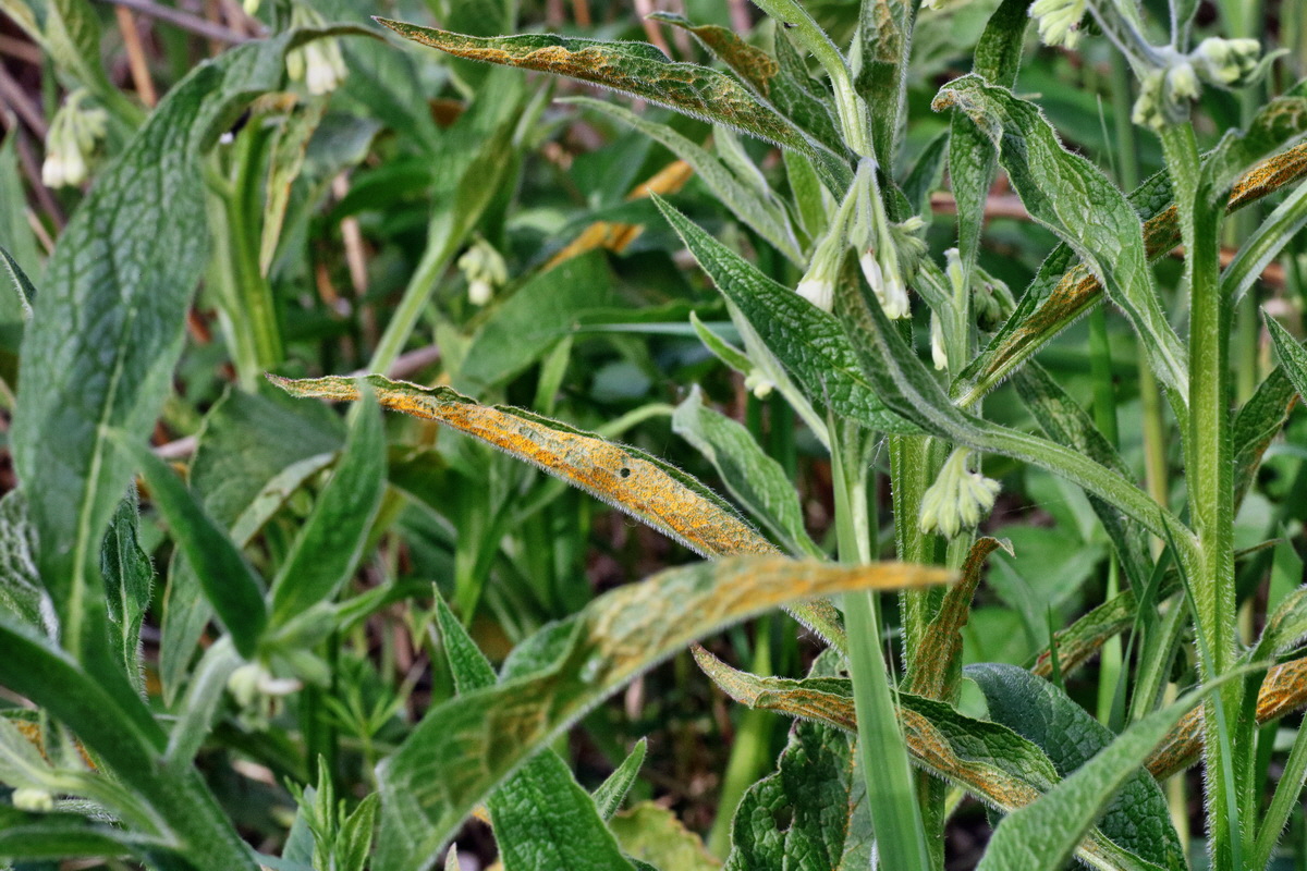 C2015_05_200307p_Bildgr��e �ndern