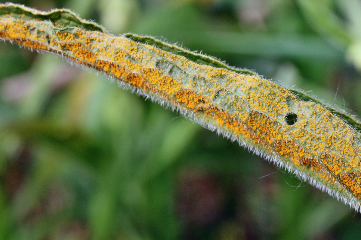 C2015_05_200310p_Bildgr��e �ndern