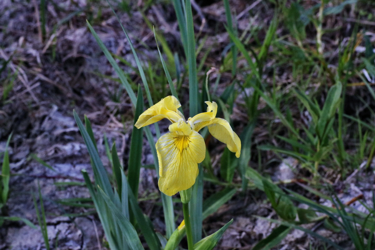 C2015_05_200316p_Bildgr��e �ndern