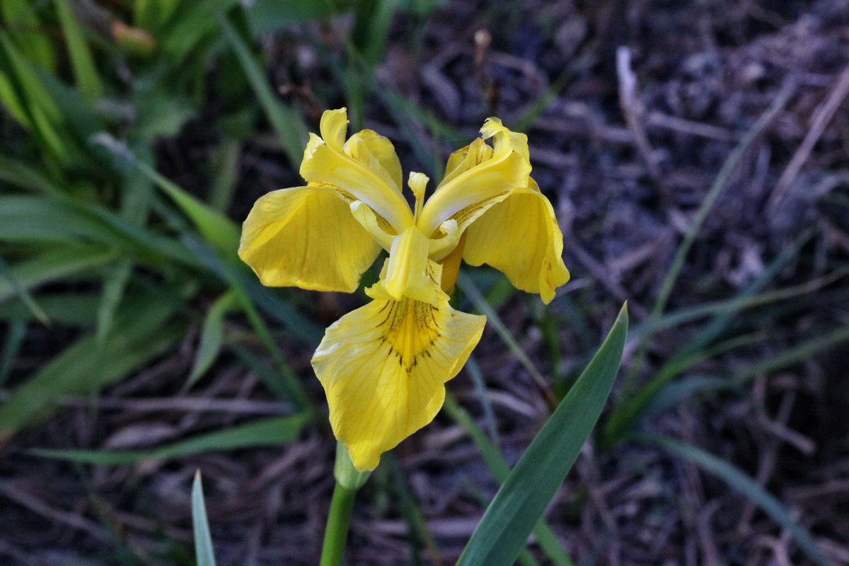 C2015_05_200318p_Bildgr��e �ndern