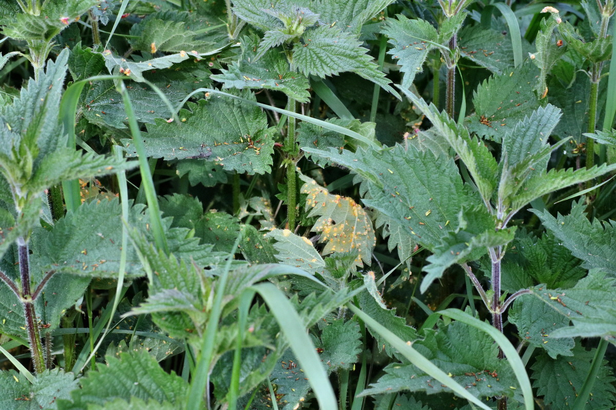 C2015_05_200322p_Bildgr��e �ndern