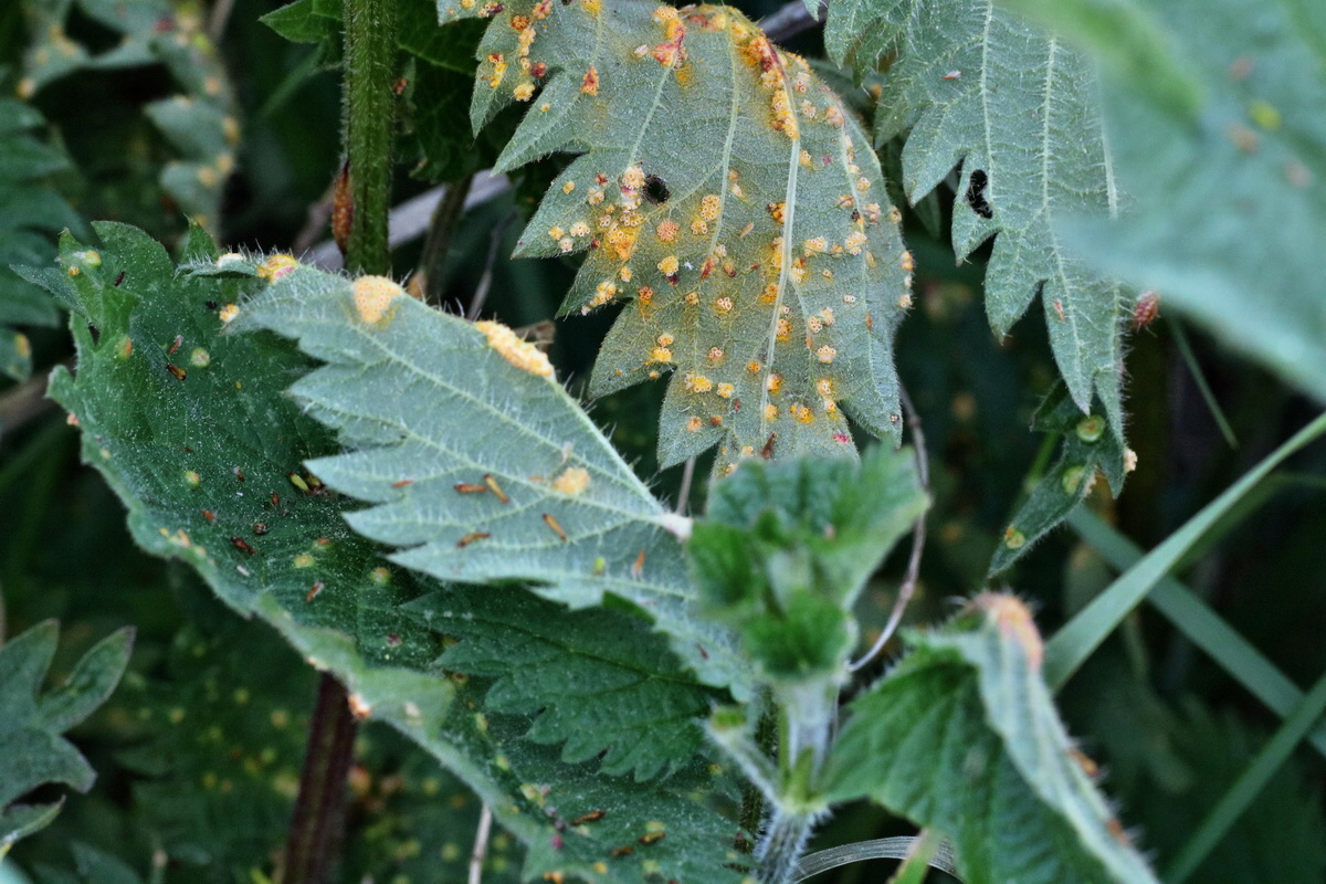 C2015_05_200323p_Bildgr��e �ndern