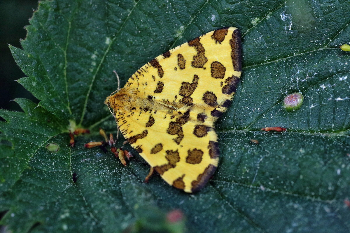 C2015_05_200327p_Bildgr��e �ndern