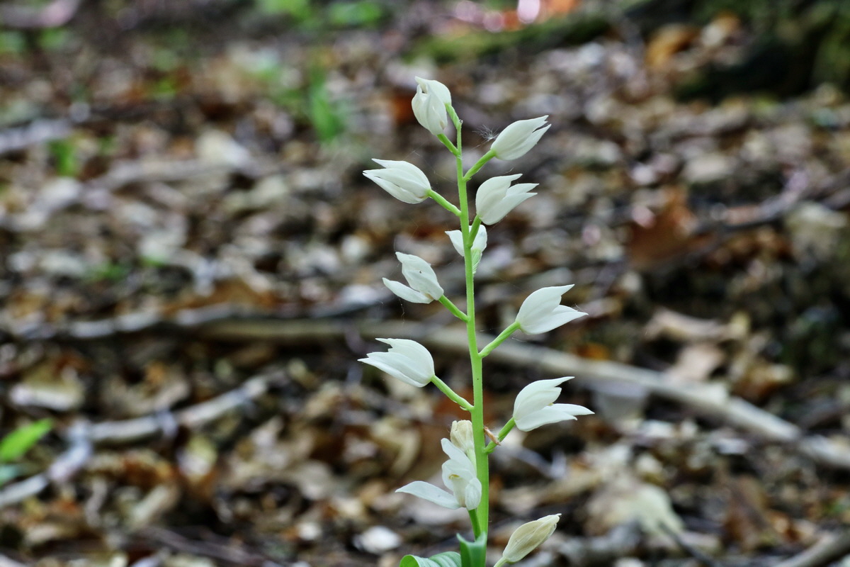 C2015_05_220376p_Bildgr��e �ndern