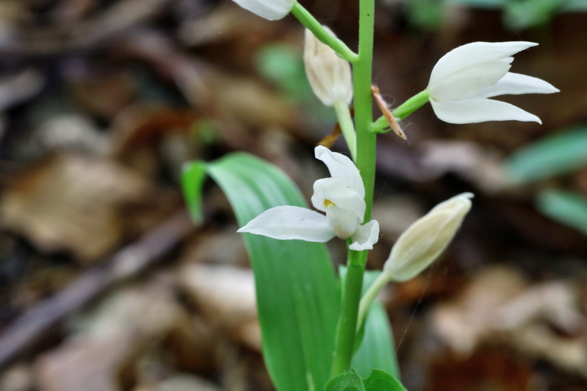 C2015_05_220378p_Bildgr��e �ndern