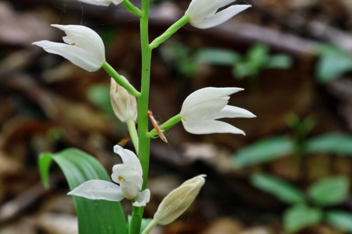 C2015_05_220382p_Bildgr��e �ndern