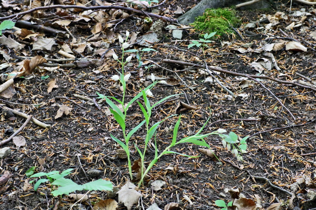 C2015_05_220387p_Bildgr��e �ndern