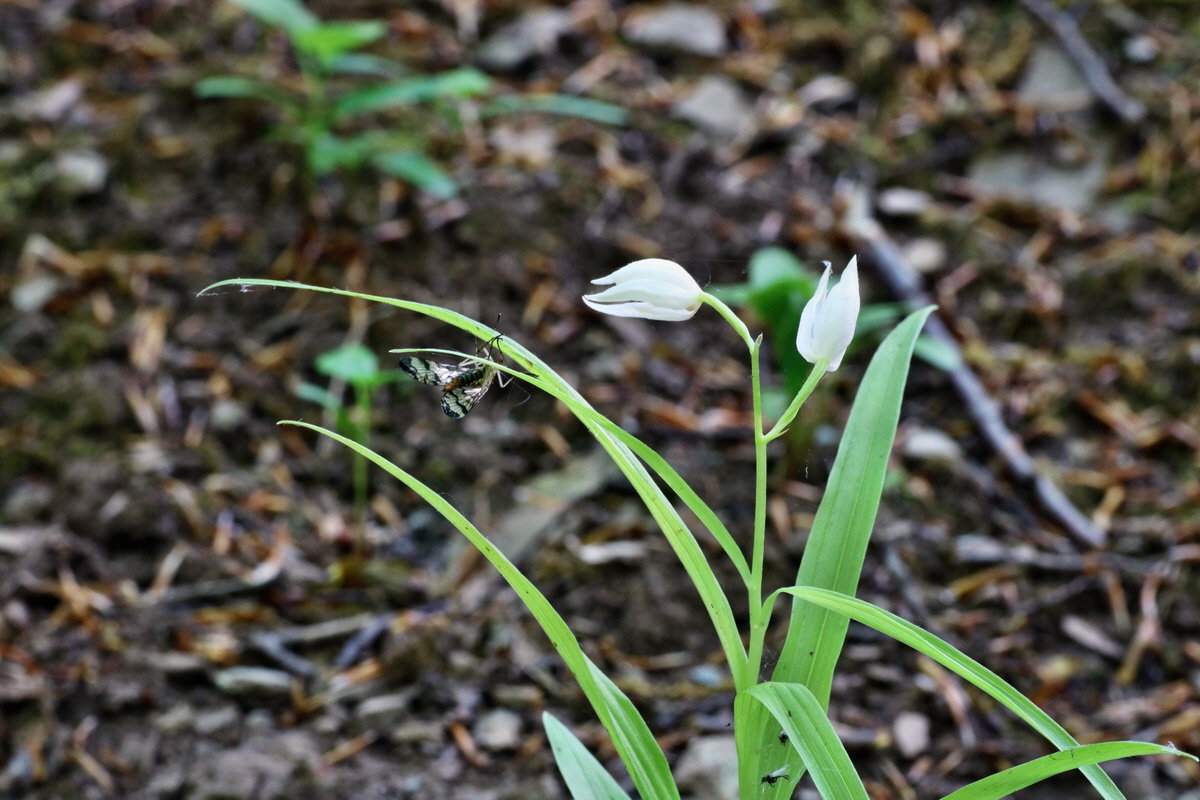 C2015_05_220389p_Bildgr��e �ndern