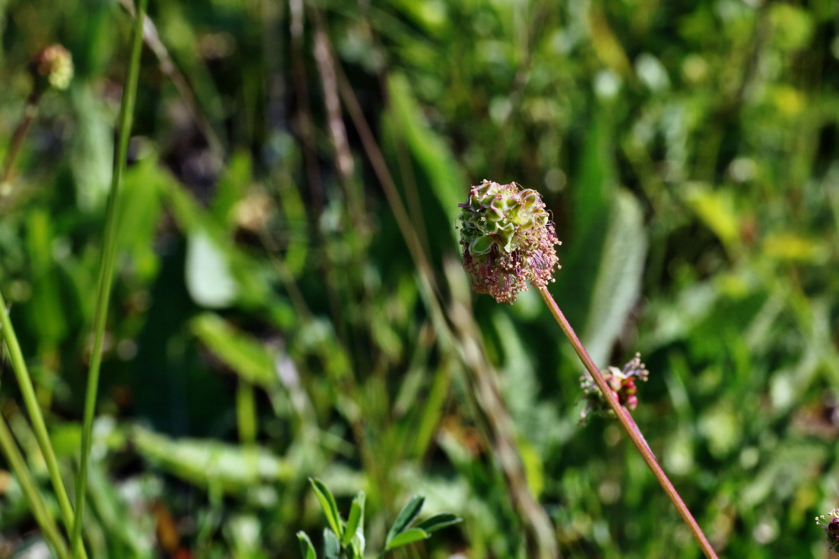 C2015_05_220399p_Bildgr��e �ndern