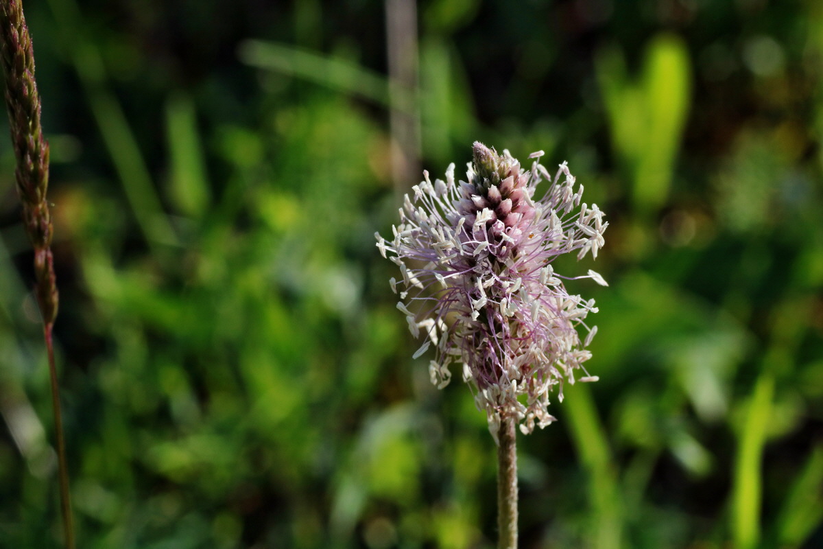 C2015_05_220402p_Bildgr��e �ndern