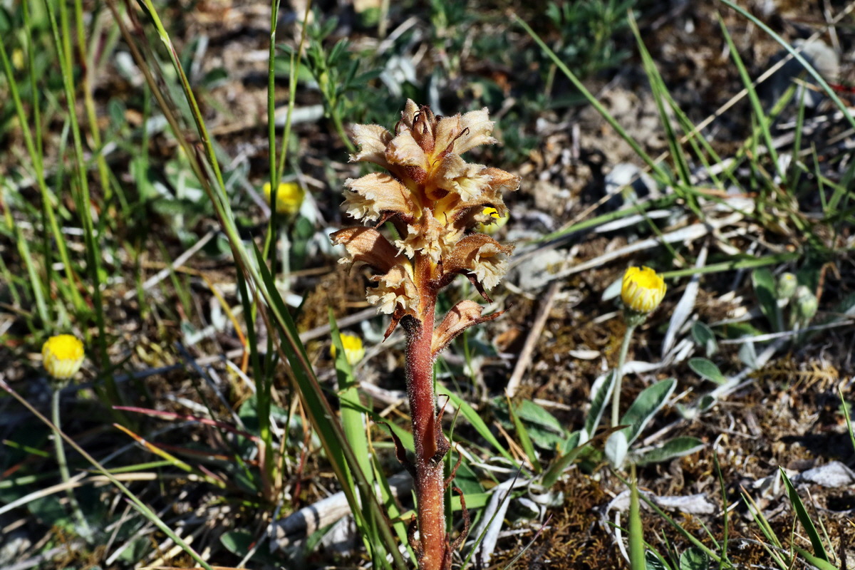 C2015_05_220403p_Bildgr��e �ndern