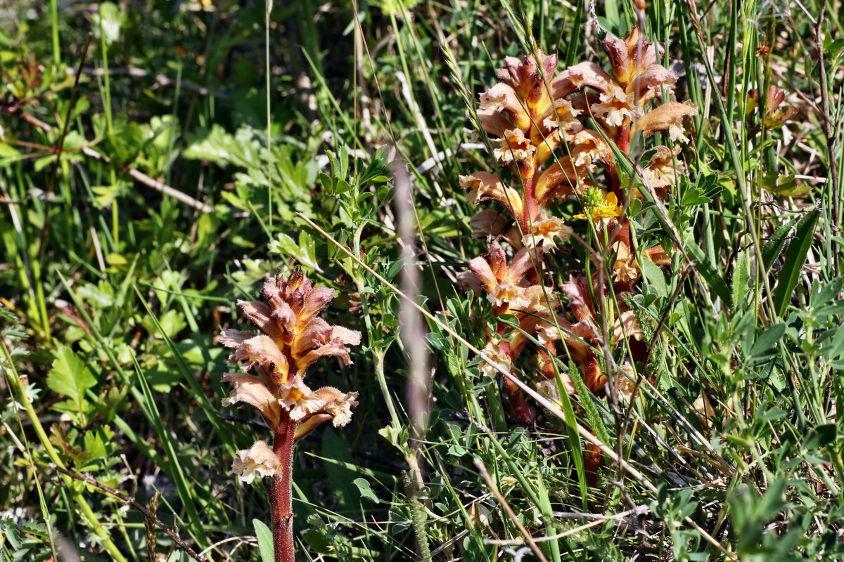 C2015_05_220405p_Bildgr��e �ndern