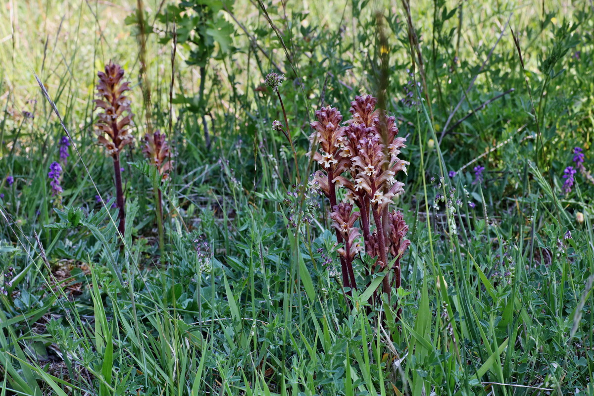 C2015_05_220409p_Bildgr��e �ndern