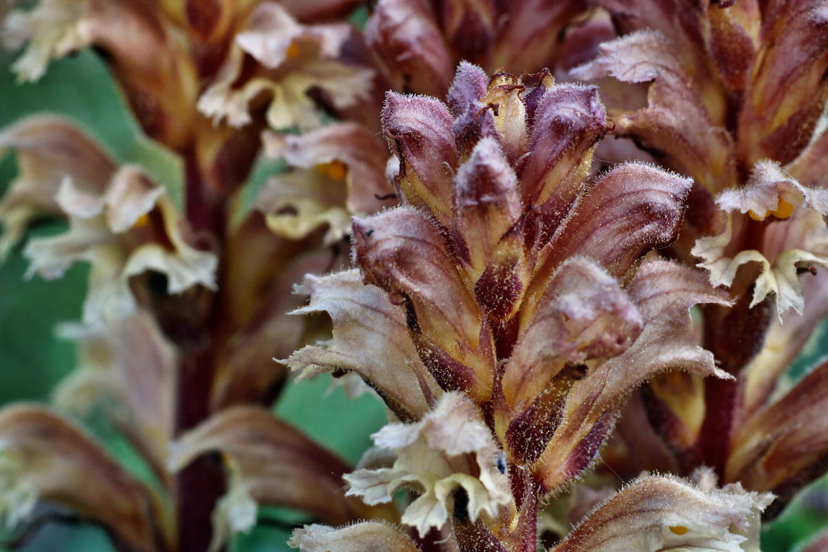 C2015_05_220411p_Bildgr��e �ndern