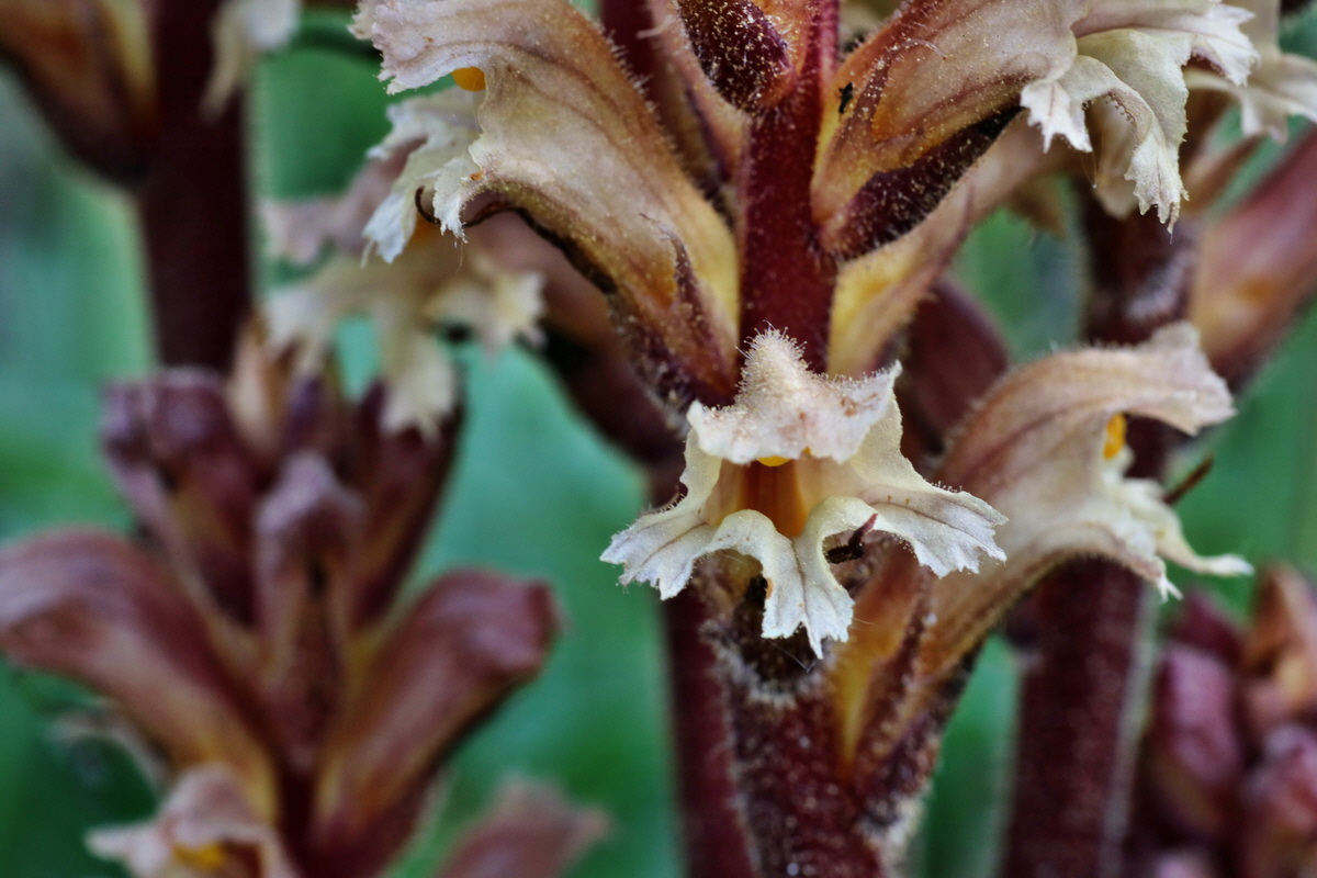 C2015_05_220414p_Bildgr��e �ndern