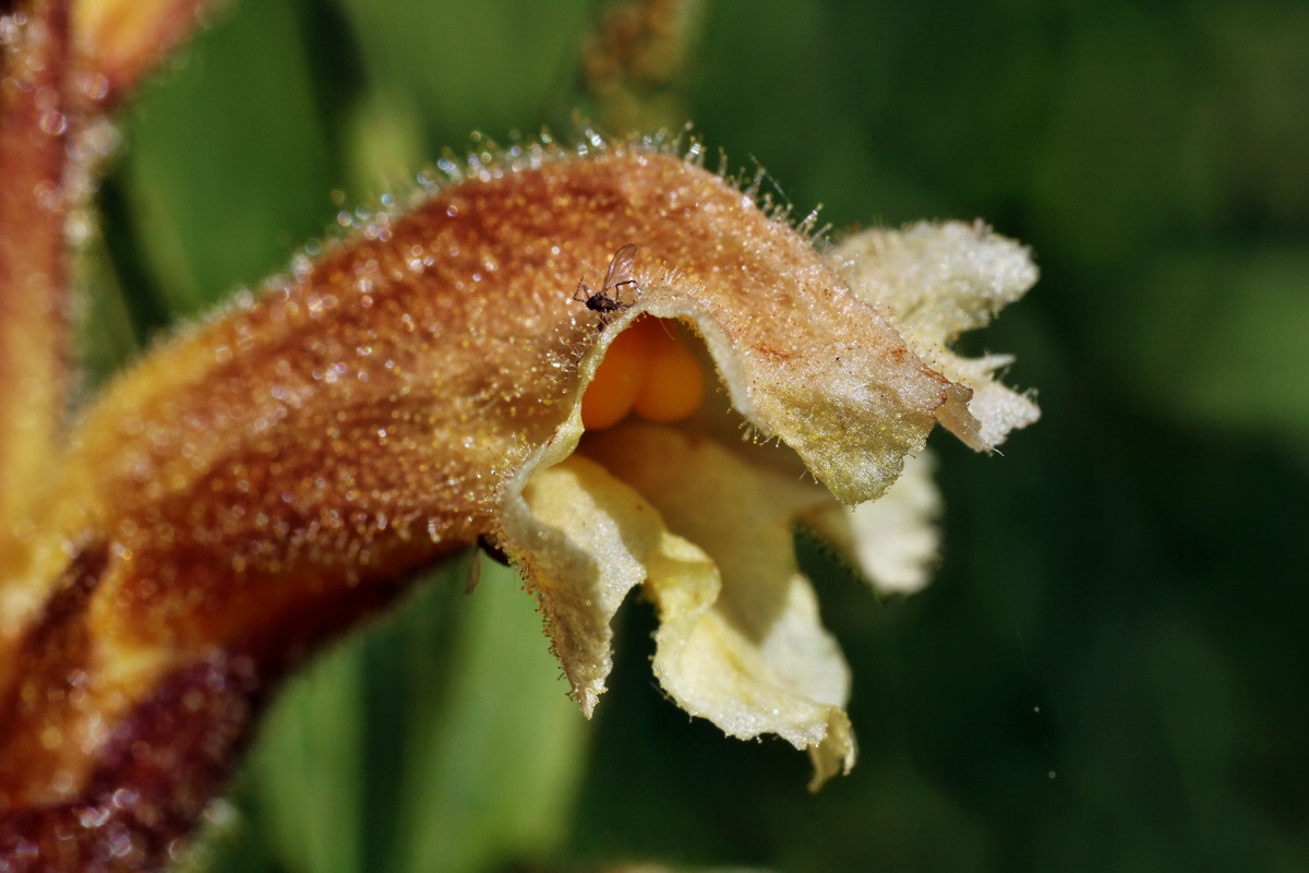 C2015_05_220415p_Bildgr��e �ndern