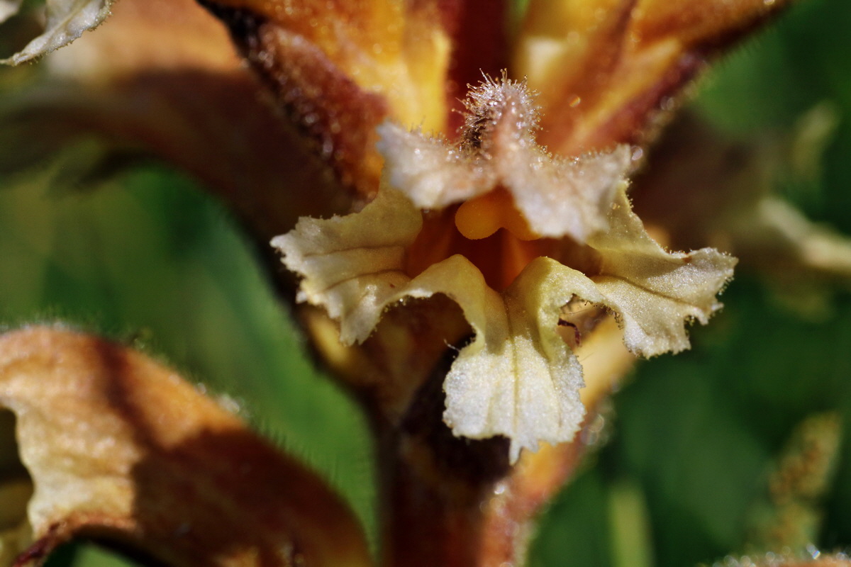 C2015_05_220417p_Bildgr��e �ndern