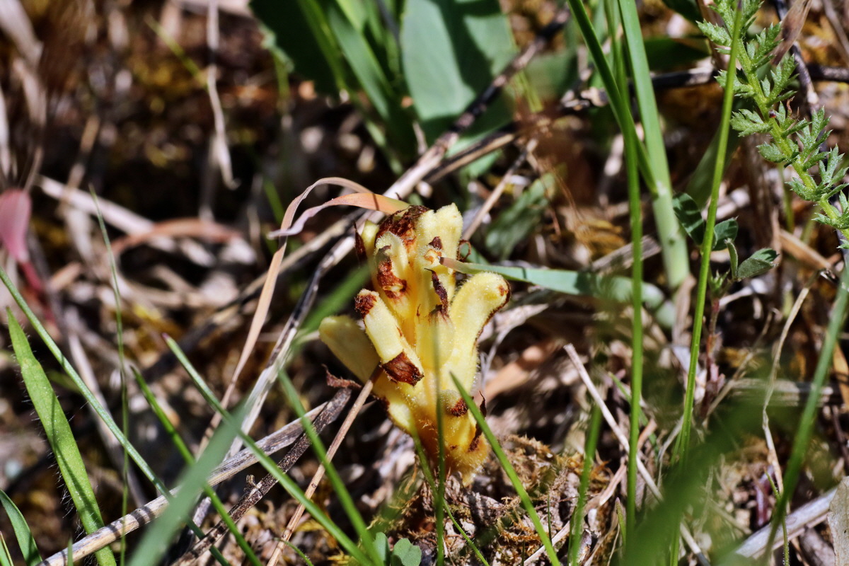 C2015_05_220422p_Bildgr��e �ndern