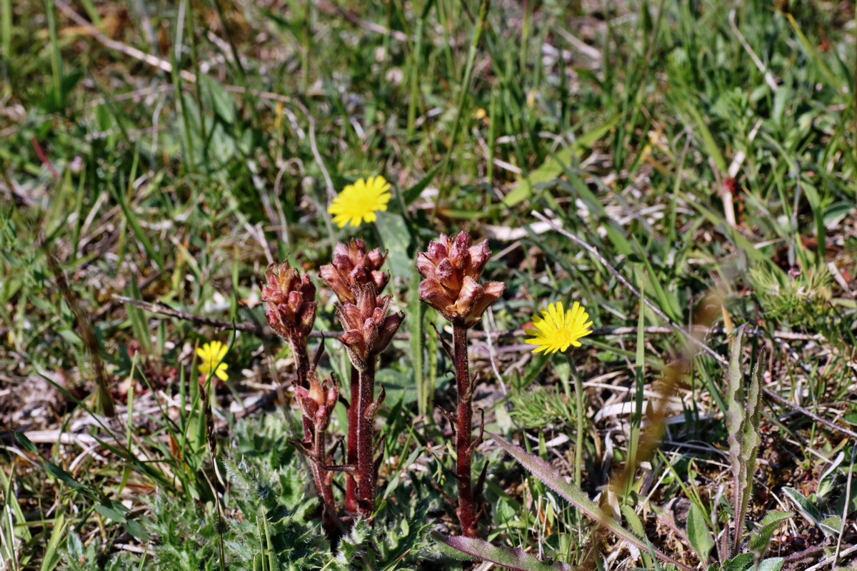 C2015_05_220424p_Bildgr��e �ndern