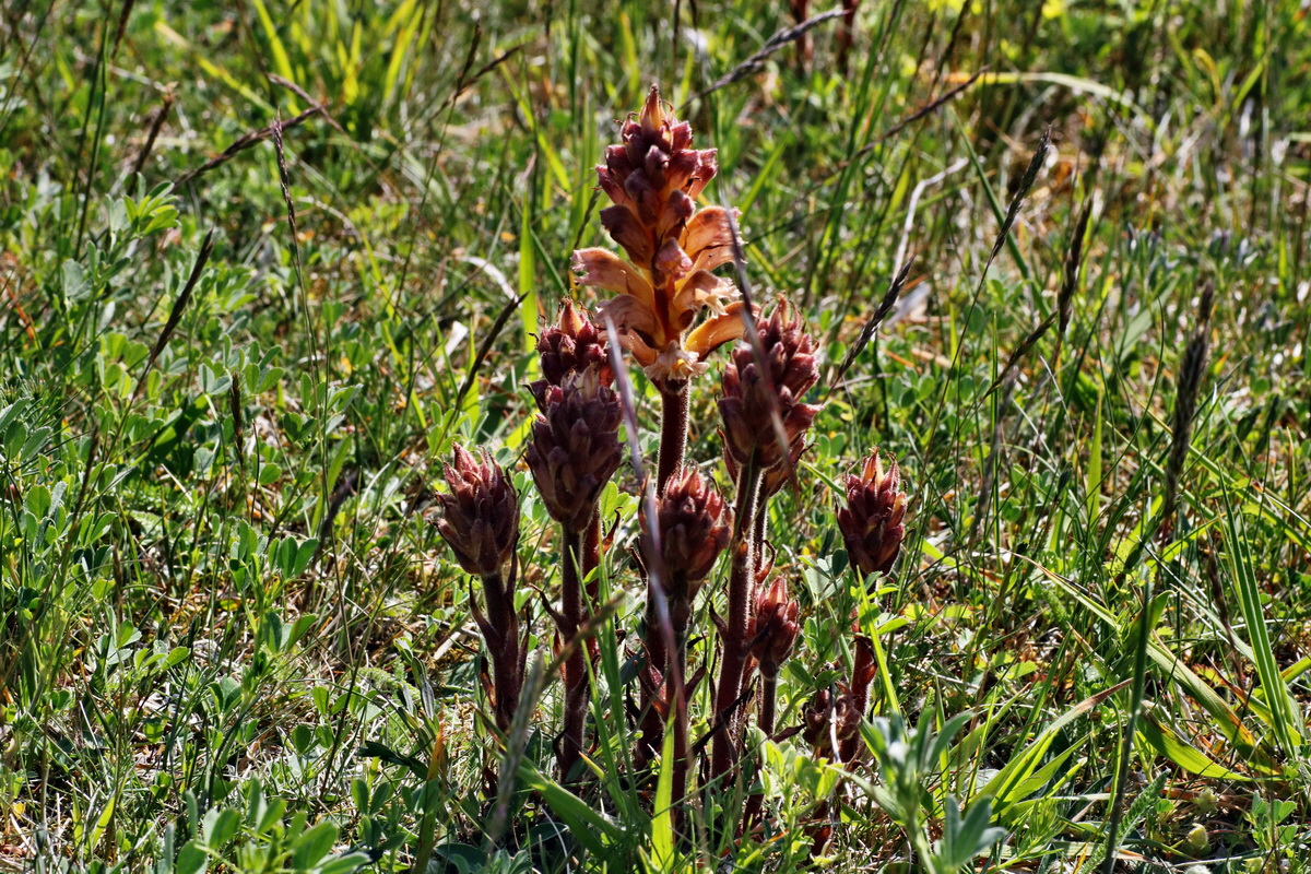 C2015_05_220425p_Bildgr��e �ndern