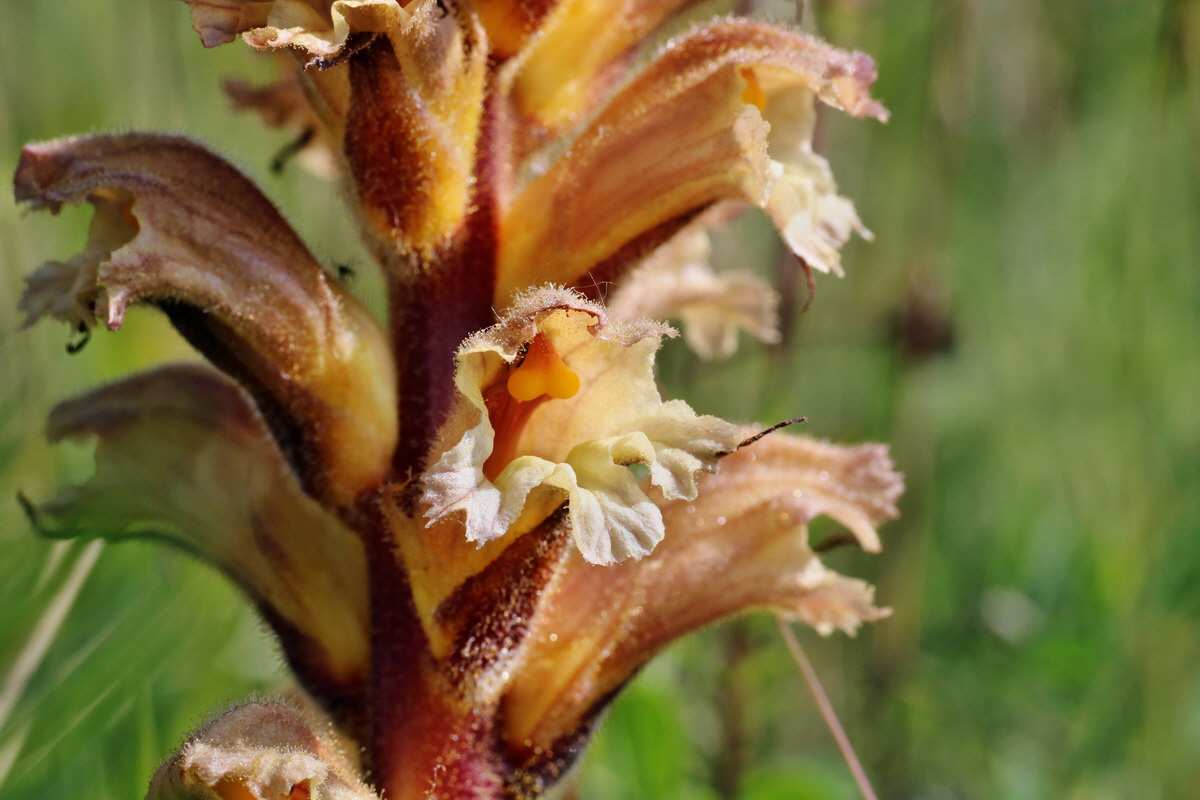 C2015_05_220436p_Bildgr��e �ndern