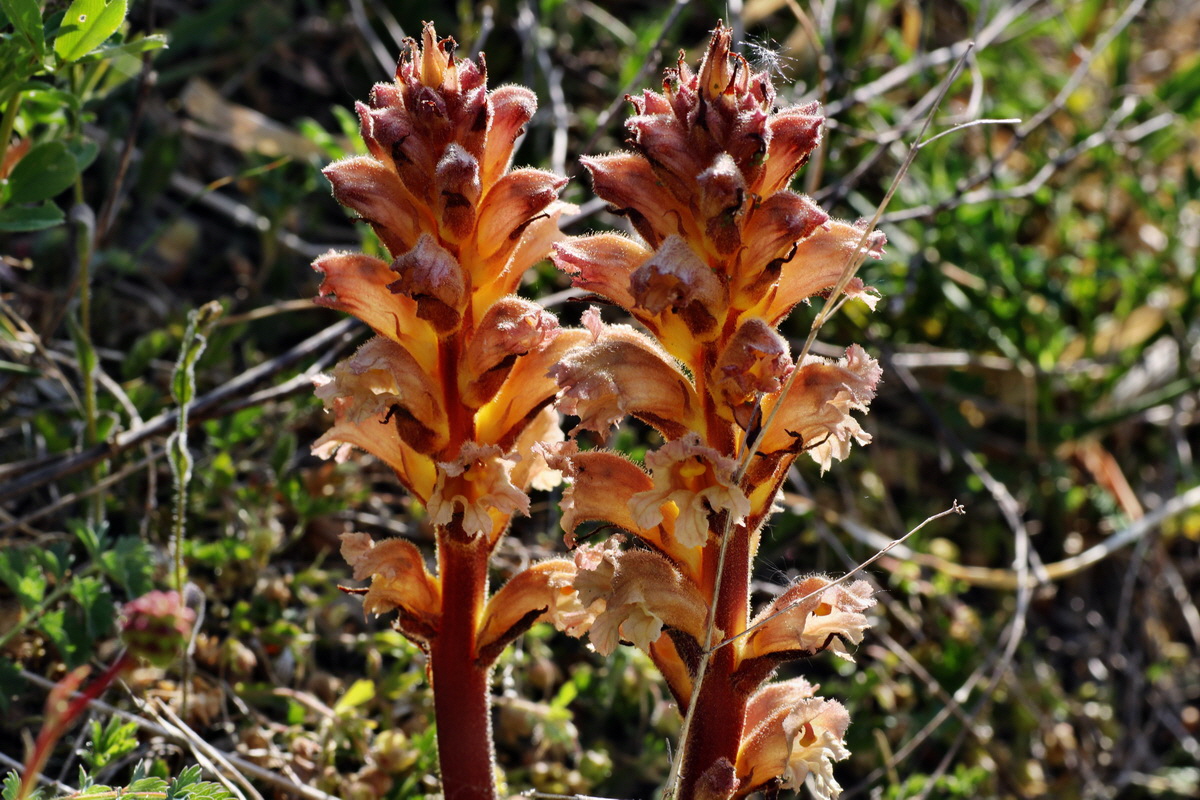 C2015_05_220441p_Bildgr��e �ndern