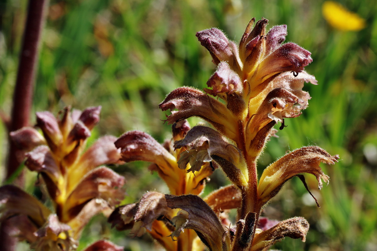 C2015_05_220450p_Bildgr��e �ndern