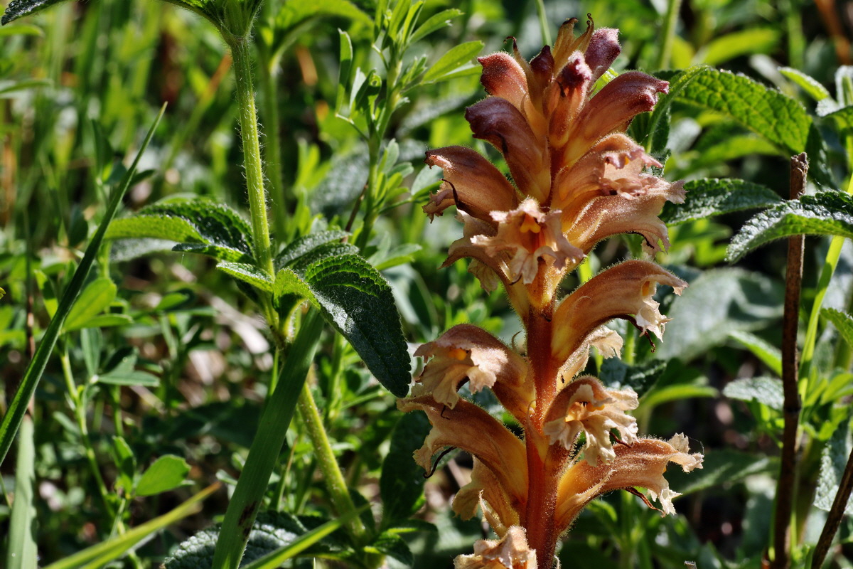 C2015_05_220452p_Bildgr��e �ndern