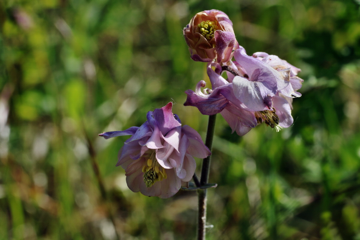 C2015_05_220457p_Bildgr��e �ndern