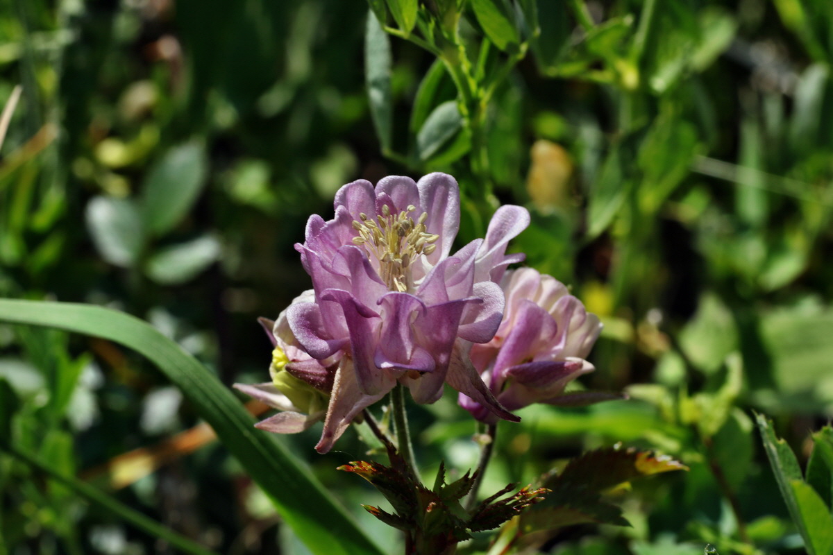 C2015_05_220459p_Bildgr��e �ndern