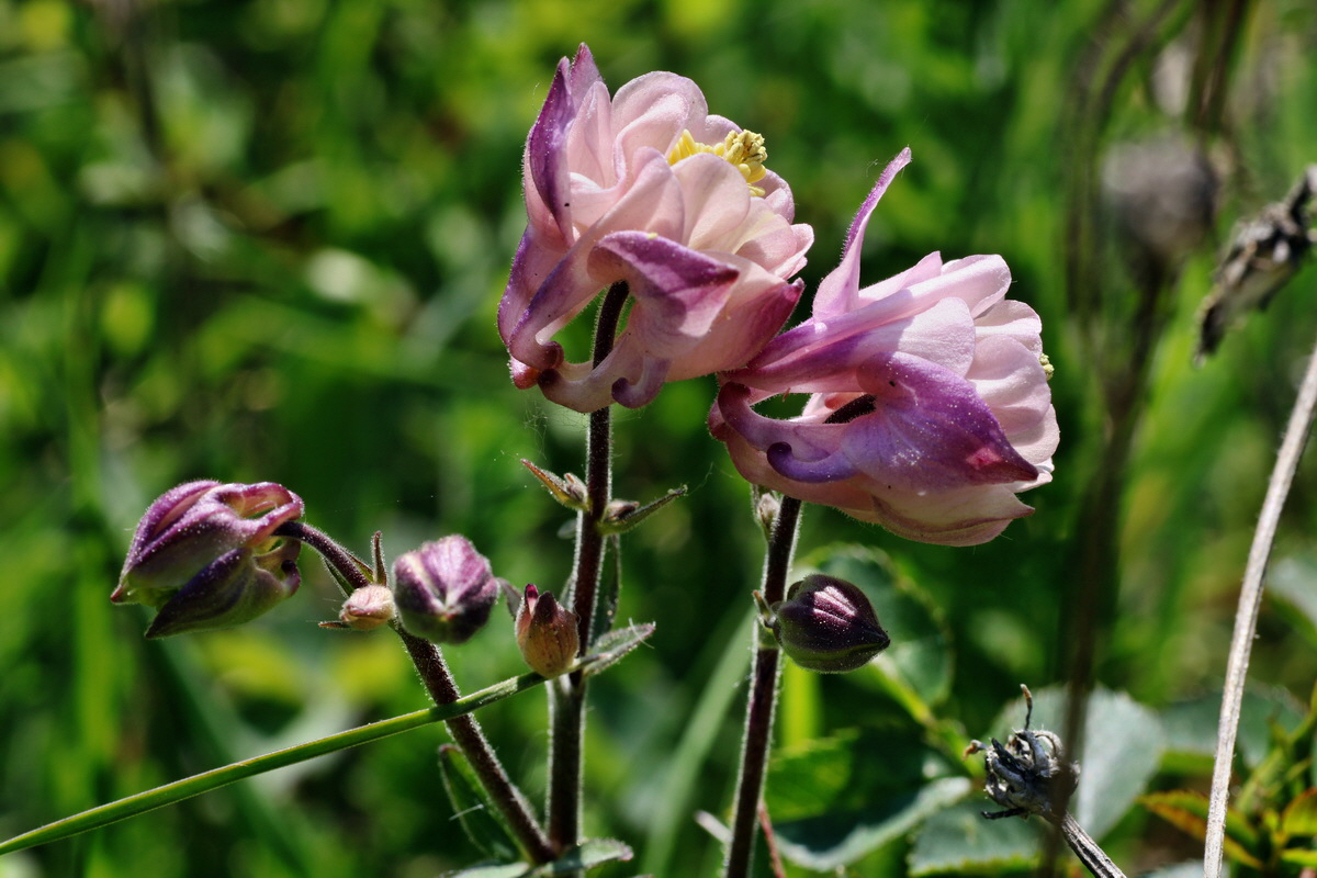 C2015_05_220461p_Bildgr��e �ndern