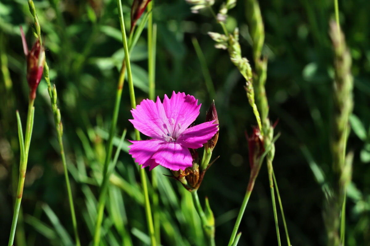 C2015_05_220468p_Bildgr��e �ndern