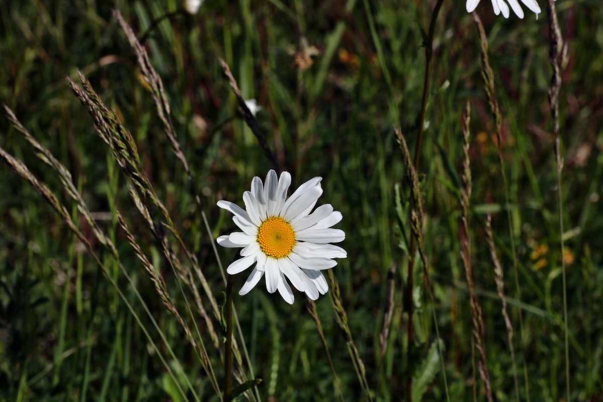 C2015_05_220471p_Bildgr��e �ndern