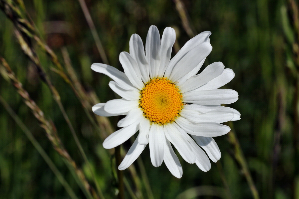 C2015_05_220473p_Bildgr��e �ndern