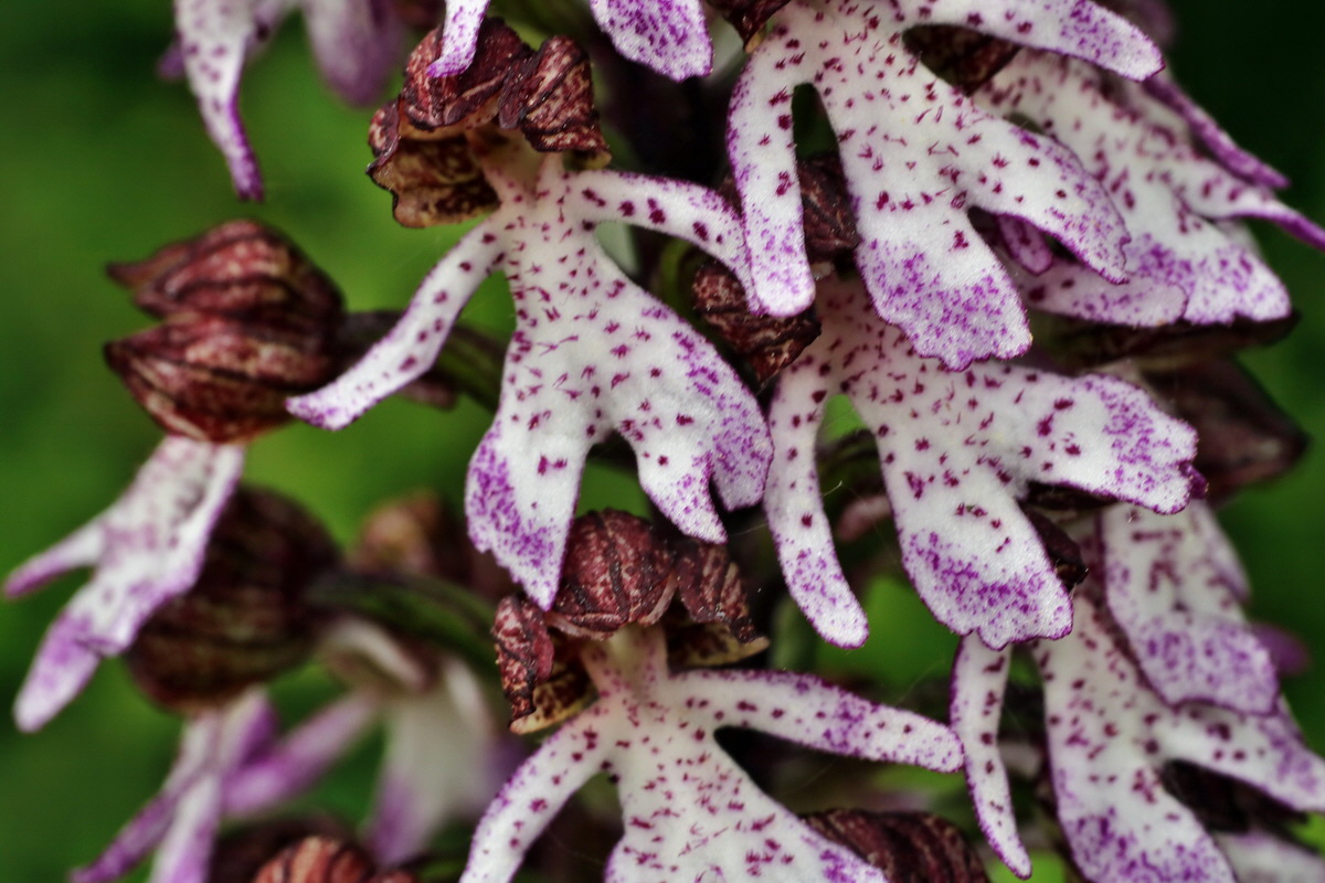 004_Bildgr��e �ndern