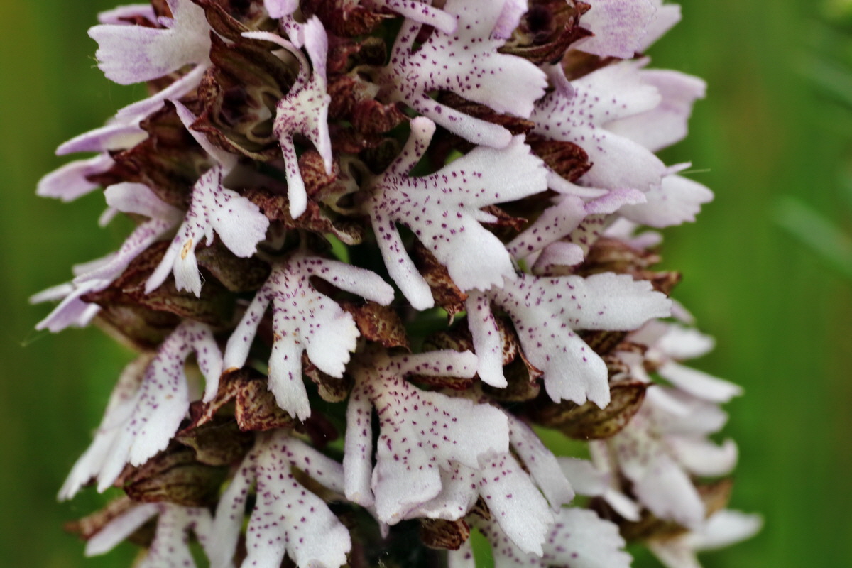 005_Bildgr��e �ndern