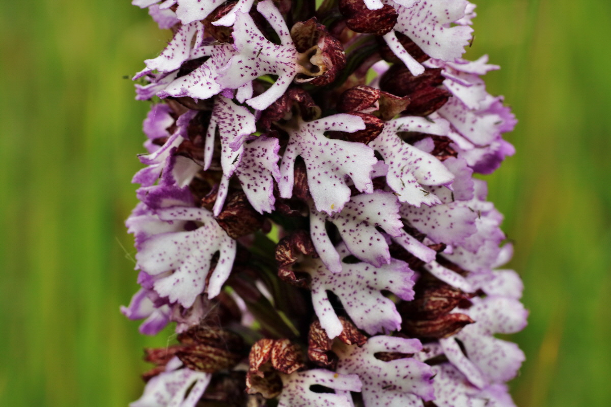 012_Bildgr��e �ndern